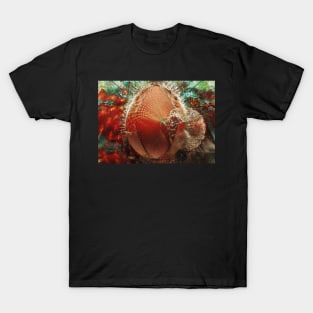 Another Day in Microcosm T-Shirt